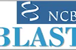 Blast