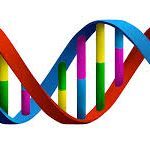 Understanding Primer designing and Gene Prediction