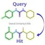 Structure search in Chemical data base of Cheminformatics course