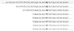 Sequence in Next generation sequencing data analysis training courses