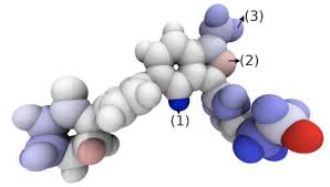 Protein & Ligand Optimization