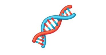 CRISPR Web-based editing tool