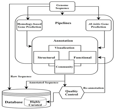 Genome annotation